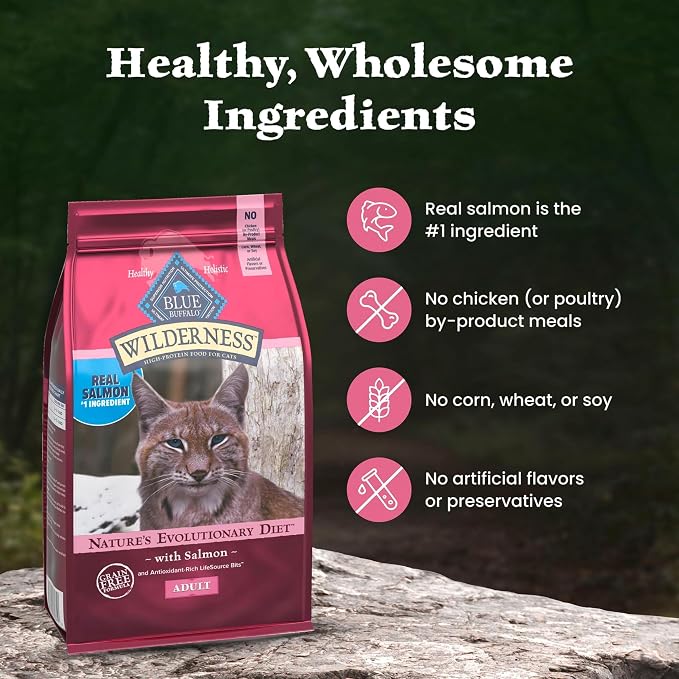 Blue Buffalo Wilderness Salmon Adult Dry Cat Food, Grain-Free, 15 lb | Real Salmon #1 Ingredient, High Protein Nutrition, Supports Immunity with Antioxidant-Rich LifeSource Bits