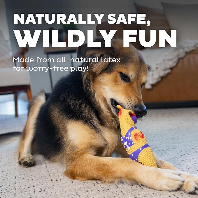 Outward Hound Squawkers Squeaky Latex Dog Toy, Henrietta, 11"