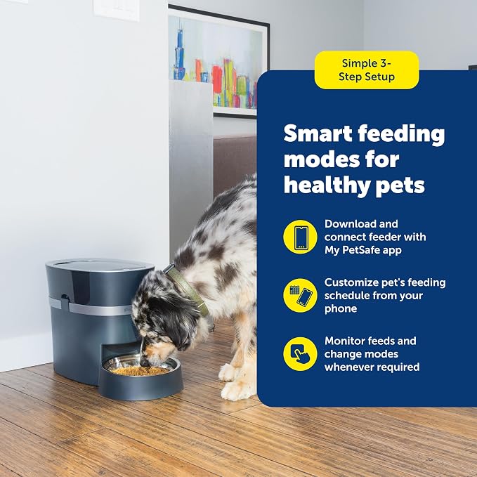 PetSafe Smart Feed Automatic Pet Feeder, 6L/24 Cup, Programmable | Alexa Enabled for Snack Feeding, App Alerts When Low/Empty, Slow Feed Setting, Backup Batteries Keep Meals on Schedule