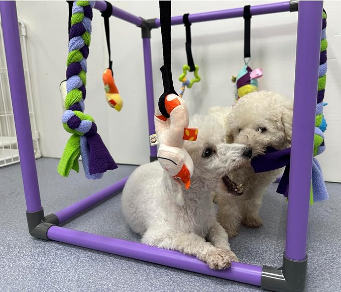 Puppy Play Gym for small dogs with 8 Hanging Interactive Toys Indoor Play