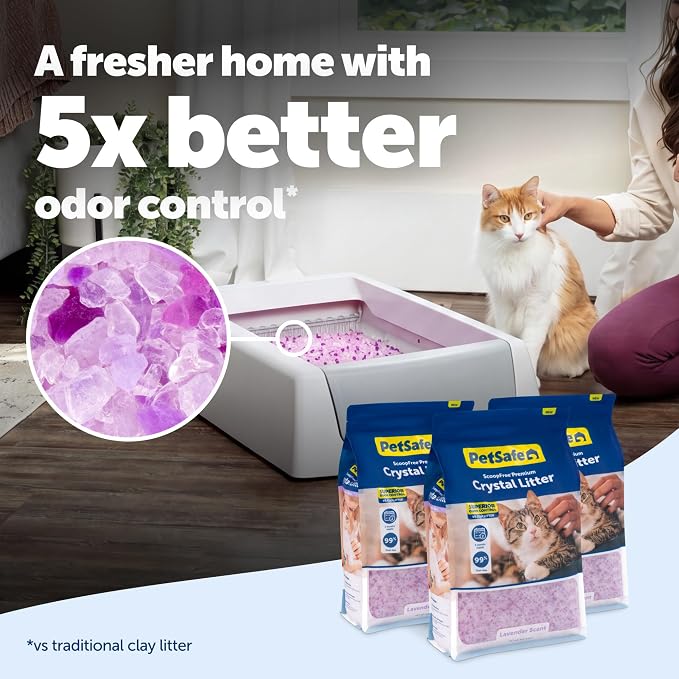 PetSafe ScoopFree Premium Crystal Litter, Lavender Scent, 8Lb Bag, 3 Pack | 5x Faster Odor Control than Clumping Clay Litter, 99% Dust-Free, Low Tracking Crystals, Compatible with Any Cat Litter Box
