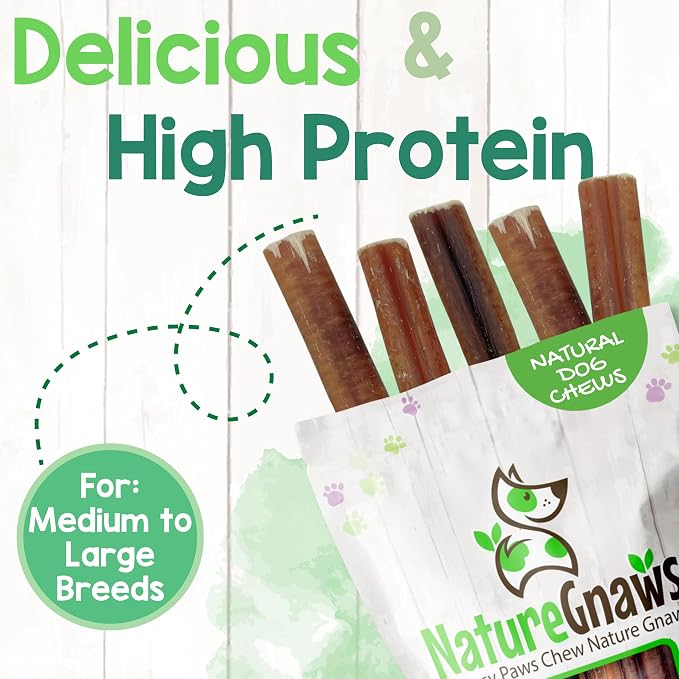 Nature Gnaws Large Bully Sticks 6" Rawhide Free Dog Chews, 10 Count | Thick Long Lasting for Aggressive Chewers and Large Dogs - Natural Beef Dog Chew Bones - No Artificial Preservatives