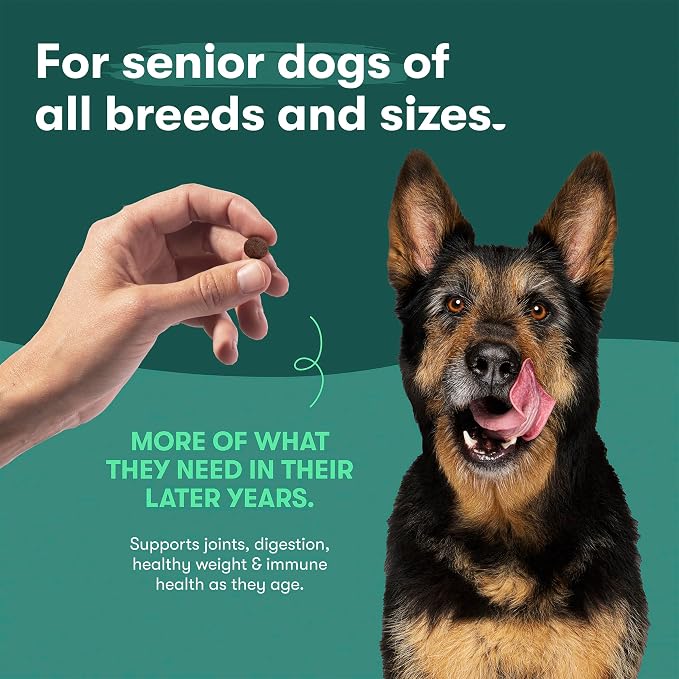 Jinx Senior Dry Dog Food - Real Chicken, Brown Rice & Sweet Potato, 23.5lb | Premium Senior Dogs Kibble with Antioxidants for Immune Support & Whole Grains for Digestive Support - No Fillers