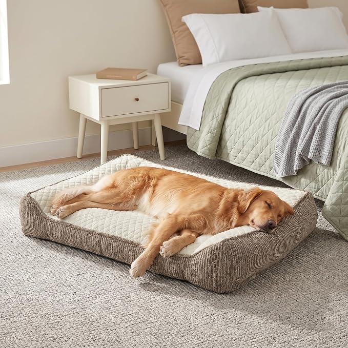 JOEJOY XL Orthopedic Dog Beds Large Sized Dog, Extra Thick Supportive Big Dogs Couch Bed with Sides, Ultra Soft Pet Bed Sofa for Large Dogs, Beige, 38''x28''