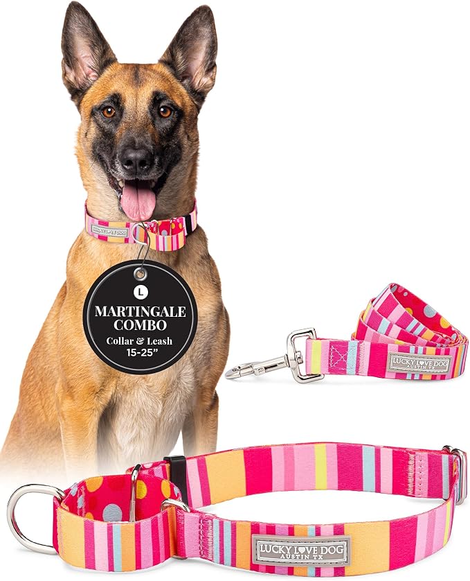 Lucky Love Dog Martingale Collar & Leash Set No Slip Cute – Molly, Large