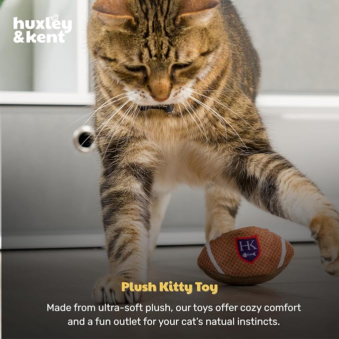 Huxley & Kent Power Plush Squeaky Dog Toy, HK Football