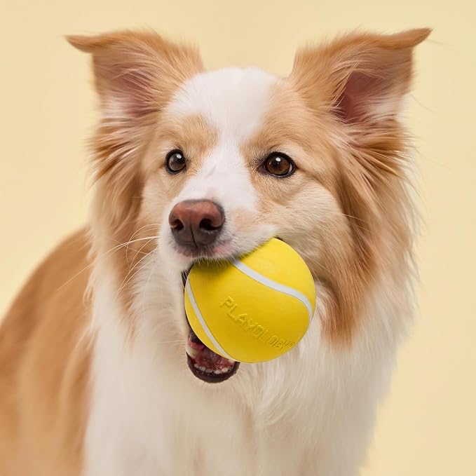 Playology Squeaky Chew Ball Dog Toy - Jumbo, Chicken Scent