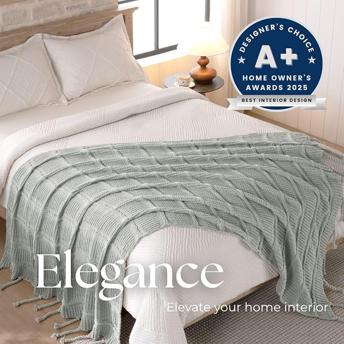 Boho Knitted Chenille Blanket with Tassels - Lightweight & Soft All-Season Throw - 3D Classic Pattern for Living Room Bedroom Couch, Silver Sage, Twin 60"x80"