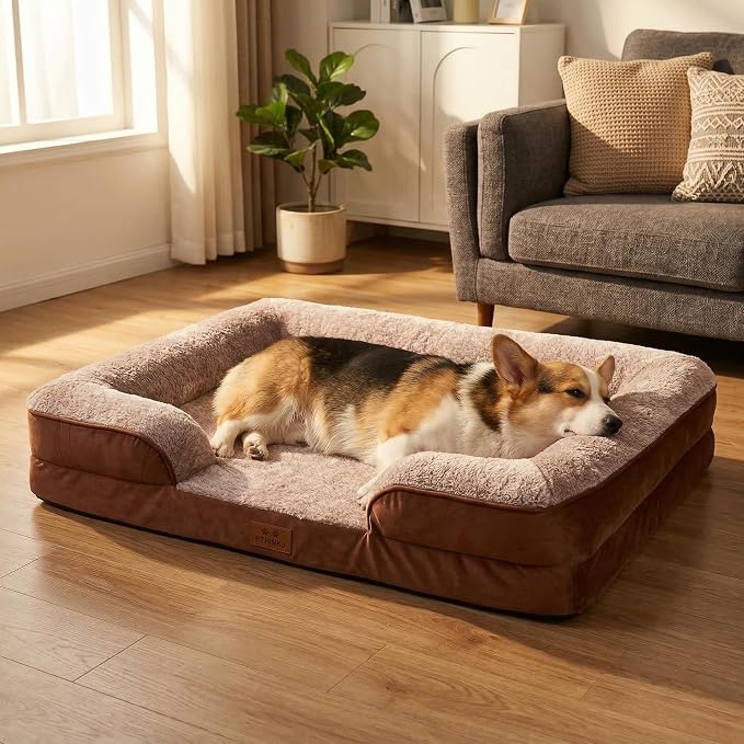 Orthopedic Dog Beds Large Sized Dog, Memory Foam Dog Bed Couch, 36"L | Dual-layer Foam Mat, Washable Cover&Waterproof, Contoured Bolster Design, Indoor&Car Truck, Pet Bed for Dogs Cats Up to 50lbs