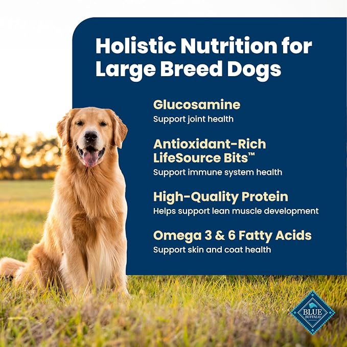 Blue Buffalo Life Protection Formula Chicken Large Adult Dog Food, 40 lb | Real Chicken #1 Ingredient, Antioxidant-Rich LifeSource Bits, Glucosamine Supports Joint Health & Mobility in Large Breeds