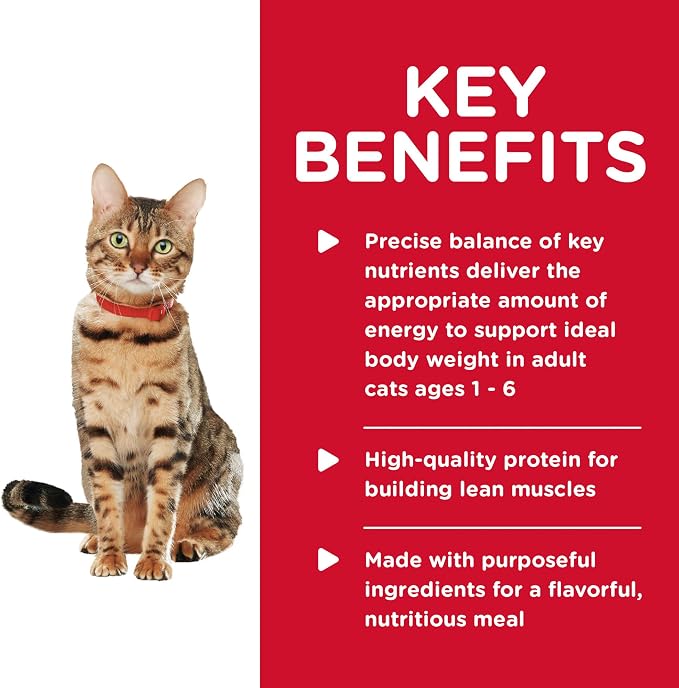 Hill's Science Diet Adult 1-6 Healthy Cuisine Wet Cat Food | #1 Veterinarian Recommended, Poached Salmon & Spinach, 2.8 oz. Cans, 24-Pack