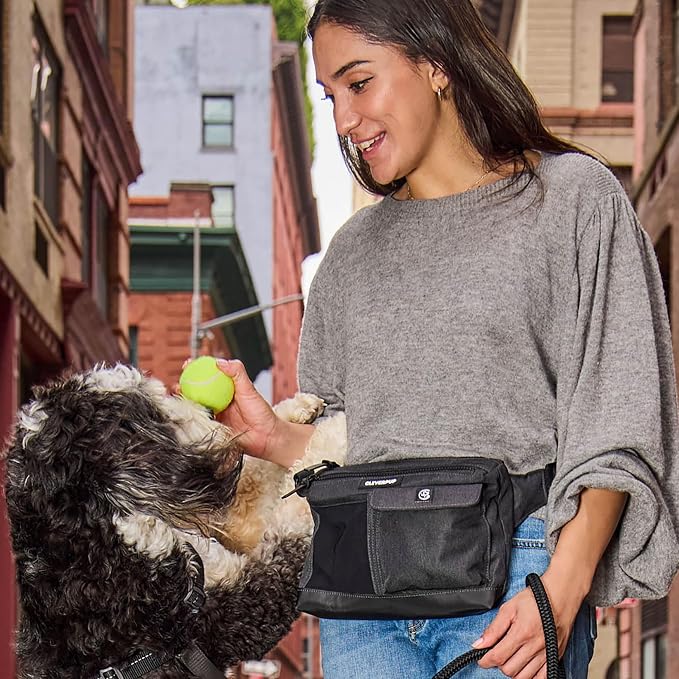 Cleverpup Walk & Train 2-in-1 Dog Walking Bag - Hands-Free, Graphite