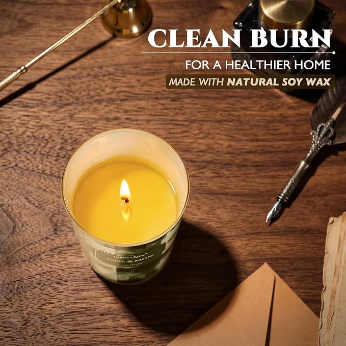 HomeLights Scented Candles for Women & Men, 6.7oz Candle Jars Aromatherapy Single Wick Candle, Ideal for Scandinavian Minimalist Design Home Decor and Gifts, Sage & Moss