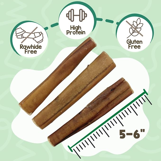 Nature Gnaws Extra Thin Bully Sticks 5-6" Rawhide Free Dog Chews, 10 Count | Long Lasting for Light Chewers and Puppies - Natural Beef Dog Chew Bones - Single Ingredient - No Artificial Preservatives