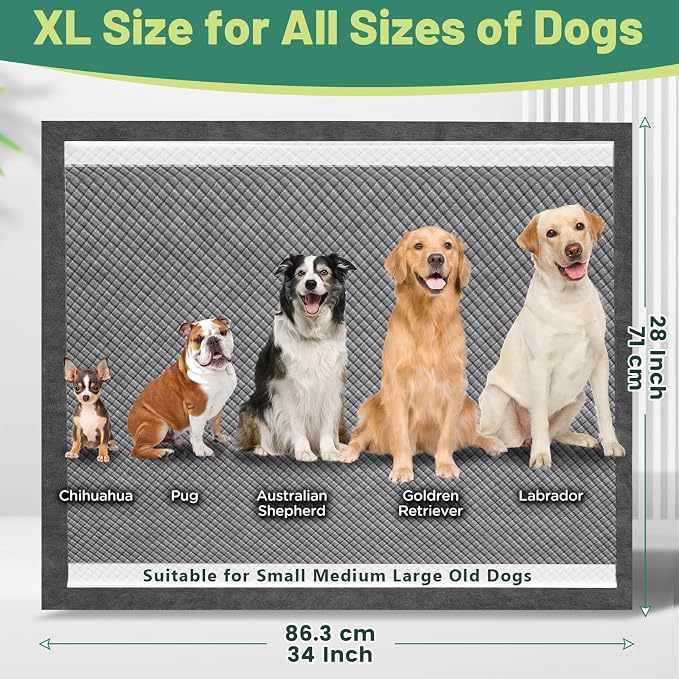 Gimars XL 28"x34" 6-Layer Ultra Abolsorbent Pee Pads for Dogs, Leak-Proof Carbon Dog Puppy Pads, Odor-Control & Quick Dry Dog Training Pads 30 Counts Charcoal