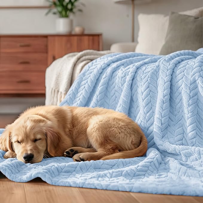 Exclusivo Mezcla Soft Fleece Bed Blanket Queen Size, 90”x90”, Light Blue | Cozy Fluffy Lightweight Blankets for Summer, Decorative Plush Flannel Throws for Living room, Bedroom with Leaves Pattern