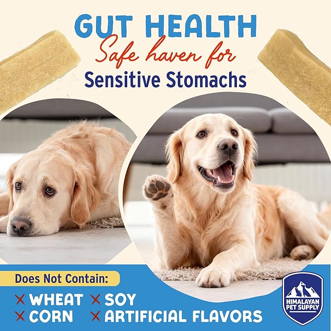 Himalayan Dog Chew Yogurt Sticks, Probiotic Dog Treats, Variety, 20 Treats | Dog Chews With Prebiotics, Probiotics & Protein, Digestive Support, Lactose & Gluten Free, Natural Dog Treats for All Breeds