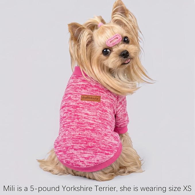 2 Pack Dog Sweaters for Small Dogs Girl Boy Winter Fleece Clothes Warm Soft Dog Sweatshirt Outfit for Dogs Cats Pet Apparel (Rose+Red, XS (Back: 9.8",Chest: 13.7", 3.5-5.5lbs))