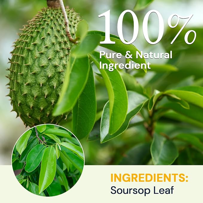 Hiihone Premium Soursop Leaf Tea Bags, 120 Teabags | Pure & Natural Sour Sop Leaves, Graviola Leaves Tea, Hoja Guanabana Tea, Digestion Support,No Sugar, No Caffeine
