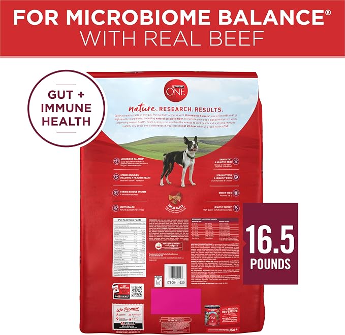 Purina ONE Small Bites Beef & Rice Dry Dog Food, 16.5 lb Bag