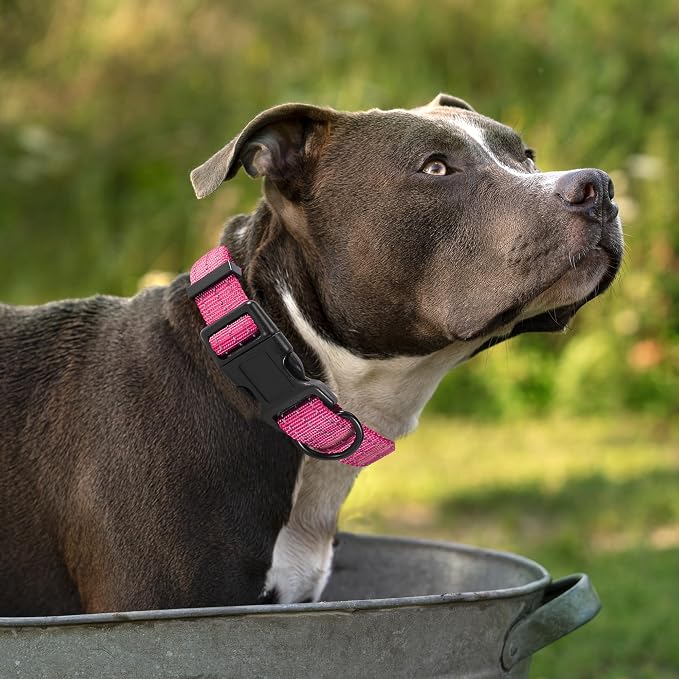 Mile High Life Reflective Dog Collar, Adjustable Lightweight Quick Release