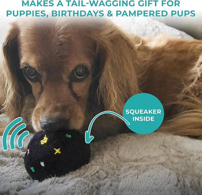 Haute Diggity Dog Chewy Vuiton Trunk Puzzle with 3 Plush Squeaky Dog Toys