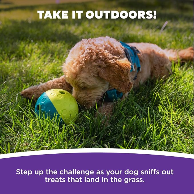 Outward Hound Nina Ottosson Treat Tumble Dog Toy Puzzle Ball, 4.8" | Level 1 Easy, Food-Dispensing Ball, Holds 1 Cup Kibble or Treats, No BPA, Interactive Enrichment, Dogs & Puppies
