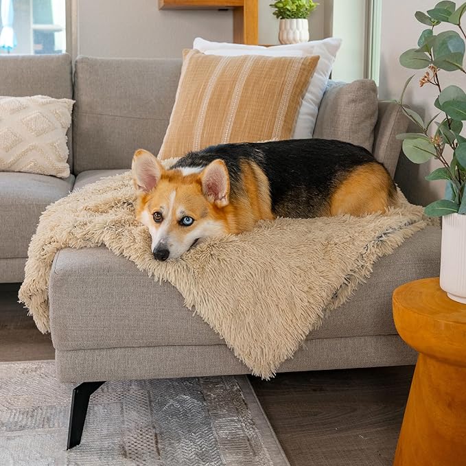 Best Friends by Sheri Dog Blanket, Shag Faux Fur, Taupe, 30" x 40" | Ultra Soft Throw for Pets, Sense of Security & Warmth, Lightweight Bed Cover, Machine Washable, Cats & Small-Medium Dogs