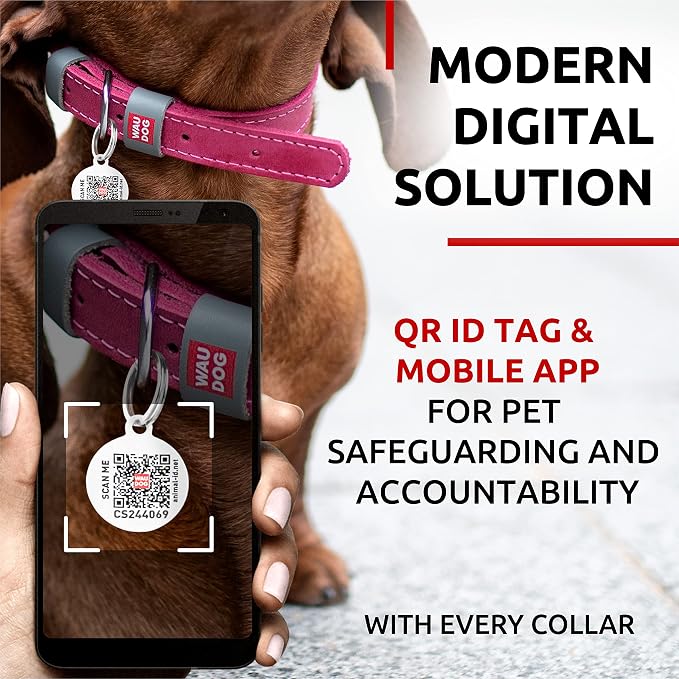 WAUDOG Genuine Leather Dog Collar Adjustable Large Medium Small QR Code Tag