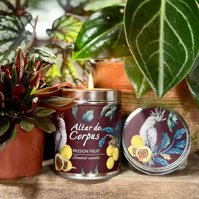 14 Oz Spring Candles for Home - Large Candle Passion Fruit - Mothers Day Gifts - Luxury Candles for Men - Premium Soy Candle Blend - Bathroom Decor