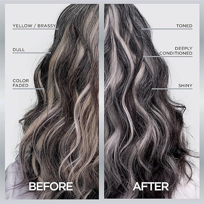 L'Oreal Paris Le Color Gloss Step Toning Gloss,In-Shower Hair Toner with Deep Conditioning Treatment Formula for Gray Hair,Silver Slate,1 Kit,(Pack of 2)