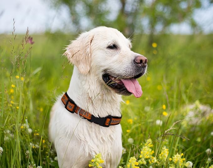 Pets First NHL Collar for Dogs & Cats. Adjustable, Cute, & Stylish! The Ultimate Hockey Fan Collar!