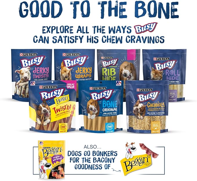Purina Busy with Beggin Twisted Large Dog Treats, 10 ct Pouch | Cheddar & Hickory Smoke Flavor dog chew, long-lasting, rawhide free with real meat, for large dogs 35 lbs up