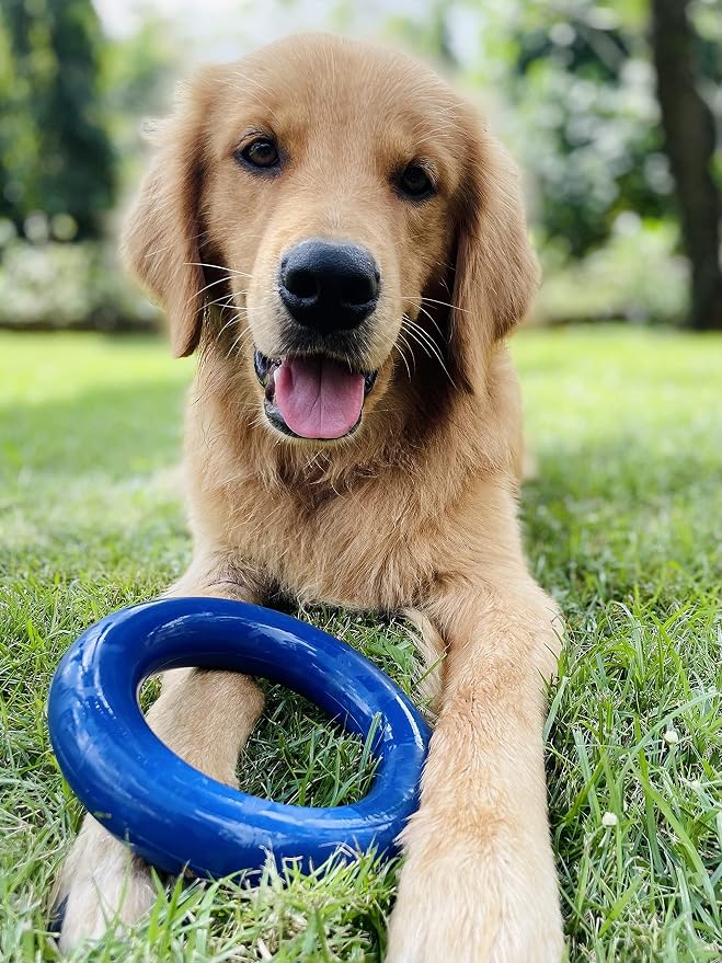 Tuff Pupper SuperChewer Tough Dog Ring Toy | Lifetime Replacement | Strong Natural Rubber | Chew Toys for Aggressive Chewers | Durable Tug Play | Strong Dog Ring Toy | Large Breed Tested