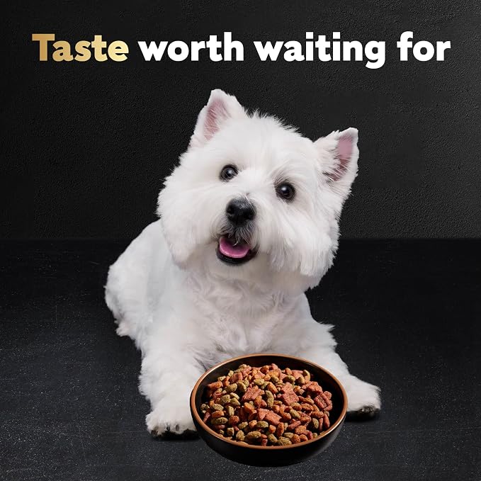 Cesar Small Breed Dry Dog Food, Chicken & Spring Vegetables Flavor, 5 lb | Made in USA, Real chicken #1 ingredient, 26 essential nutrients, supports small breed health, no artificial flavors