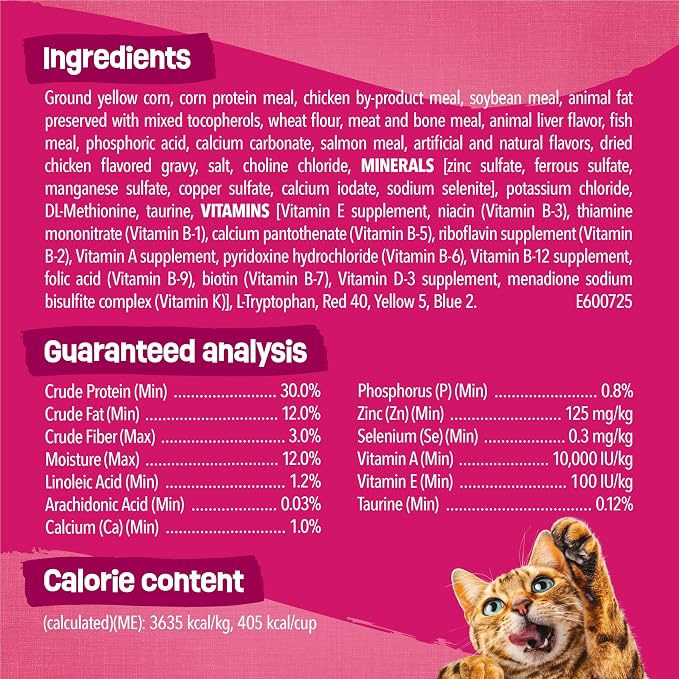 Purina Friskies Gravy Swirlers with Flavors of Chicken, Salmon and Gravy Dry Cat Food - 22 lb. Bag