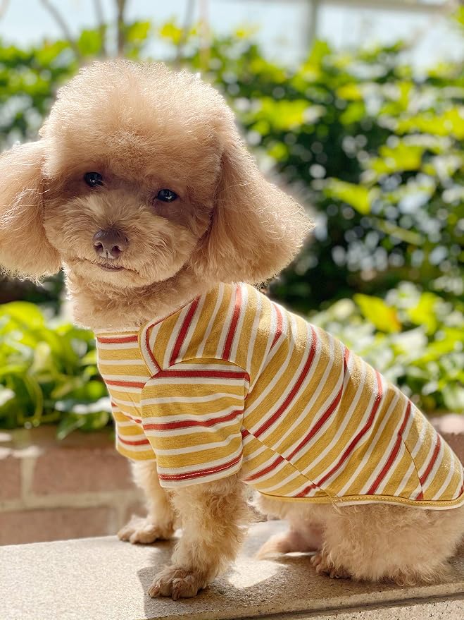 Dog Shirts Cotton Striped T-Shirt, Summer Pet Clothes for Small Dogs, 2-Pack Soft Puppy Apparel Cat Tee, Breathable Stretchy, Blue Yellow XXL