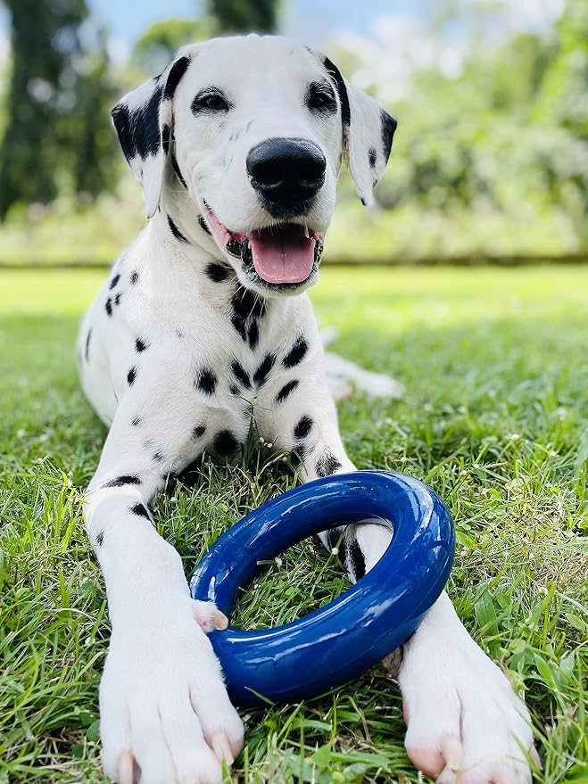 Tuff Pupper SuperChewer Tough Dog Ring Toy | Lifetime Replacement | Strong Natural Rubber | Chew Toys for Aggressive Chewers | Durable Tug Play | Strong Dog Ring Toy | Large Breed Tested