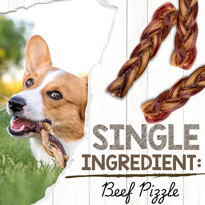 Nature Gnaws Braided Bully Sticks 5-6" for Small Dogs, 3 Count