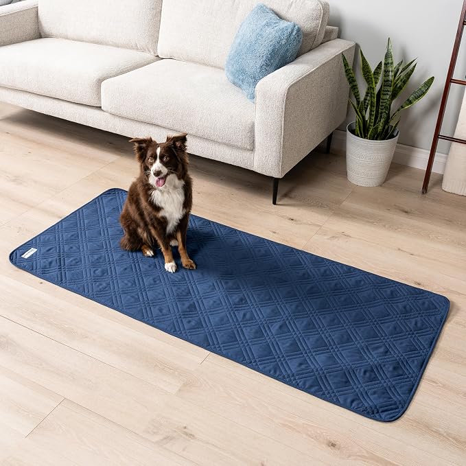 PetAmi Waterproof Couch Cover for Dog Non-Slip Bed Sofa Blanket, 30x70 Blue