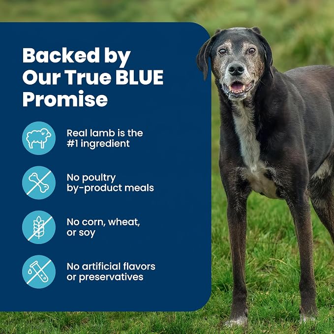 Blue Buffalo Life Protection Formula Lamb Large Breed Dry Dog Food, 30 lb | Real Lamb #1 Ingredient, Glucosamine for Joint Health, Antioxidant-Rich LifeSource Bits, Formulated for Large Breed Dogs