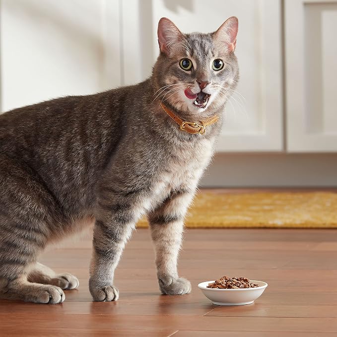 Meow Mix Tenders in Sauce, Wet Food with Chicken & Liver, 12 Cups
