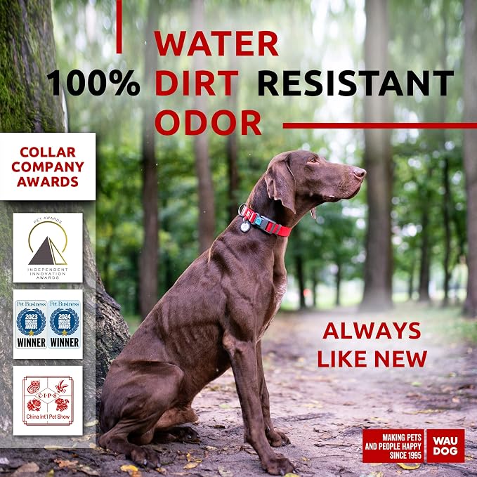 WAUDOG Waterproof Dog Collar Airtag Holder QR Tag Small Medium Large Dogs | Water and Dirt Resistant, Quick Dry QR Pet Tag Adjustable Durable Comfort for Male and Female Dogs Outdoor Walking Training