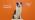 Wisdom Panel Breed Discovery Dog DNA Testing Kit - Most Accurate Dog Breed Identification - Test for 430+ Breeds, MDR1 Health Test, Ancestry, Relatives
