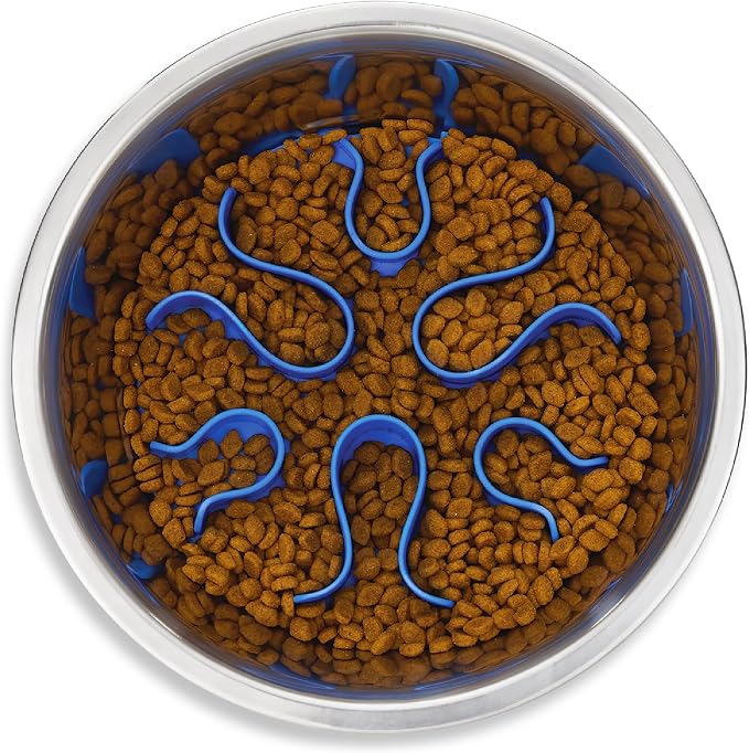 Outward Hound Fun Feeder Stainless Steel Slo Bowl for Dogs, Medium, 8.3"