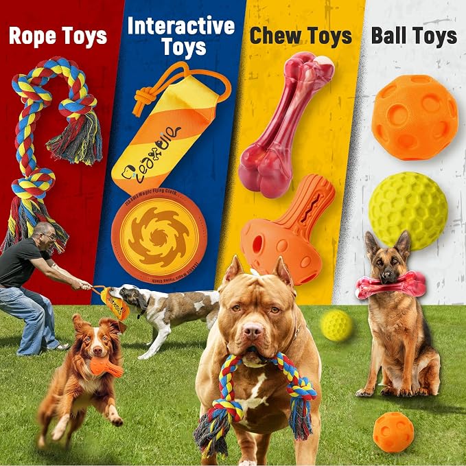 Zeaxuie 12-Pcs Variety Dog Toys for Aggressive Chewers, Medium & Large Dogs