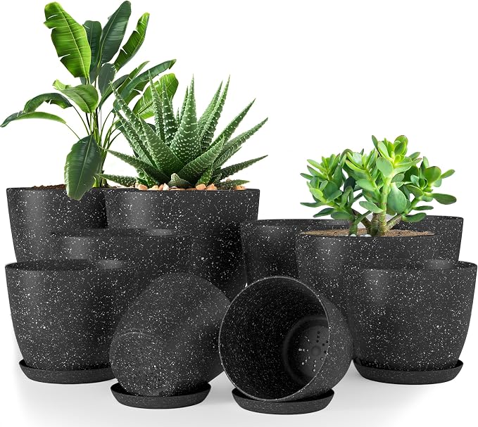 Plant Pots Indoor with Drainage 10 Pack Multi-Size Planters Spotty Black | Drainage holes included Multiple sizes 7/6.6/6/5.3/4.8 In Indoor plants and flowers Durable plastic construction