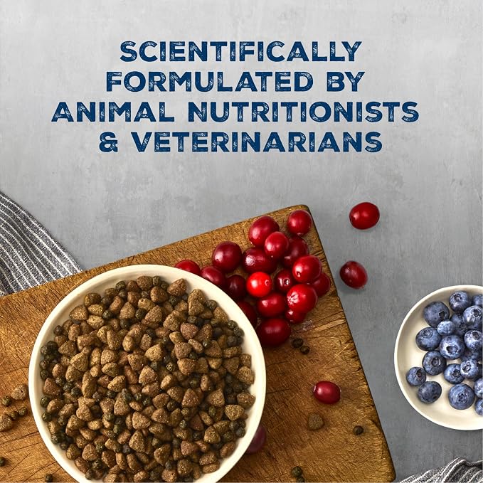 Blue Buffalo Wilderness Chicken & Wholesome Grains Adult Dry Dog Food, 28lb | 39g Protein, Real Chicken #1 Ingredient, Antioxidant-Rich Fruits & Veggies, High Protein to Fuel Adventures