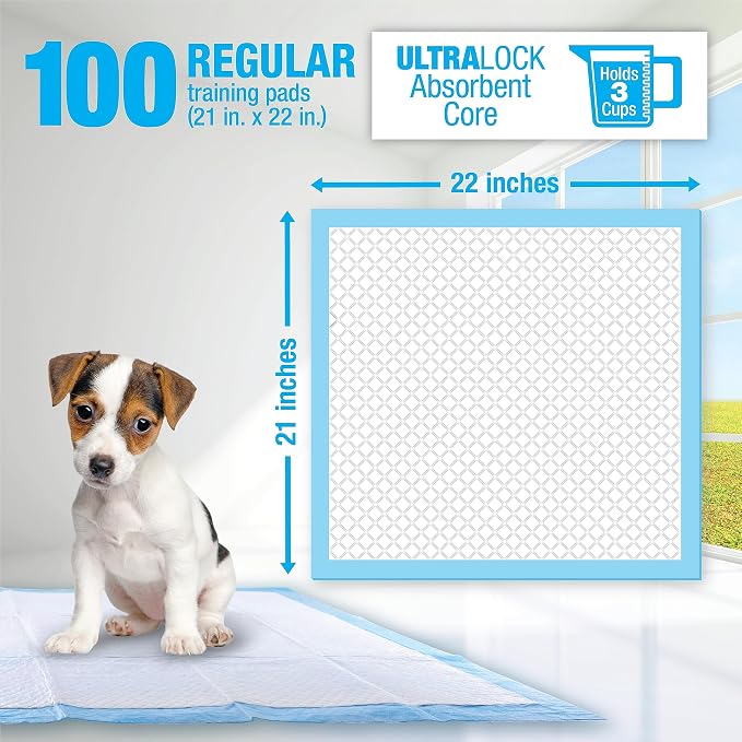 Lil' Squirts Puppy Training Pads 100 Pack for Potty Training & Housebreaking, UltraLock Absorbent Core, Leak-Proof, Odor Control | 21 in x 22 in, 12-Hour Protection, Ultralock Absorbent Core, Leak-Proof, No Bleach Or Dyes, Odor Control Dog Training Pads