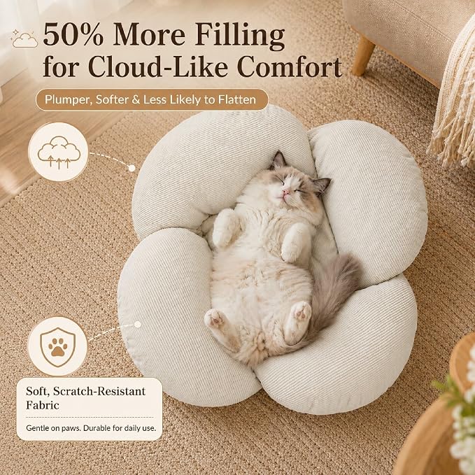 Wooden Elevated Cat Bed, Pet Sofa Furniture with Washable Cushion (Beige) | Soft Beds with Extra Filling prevent flattening, while Stable Wooden Frame with Base Board supports 50 lbs for Kitty & Puppy.